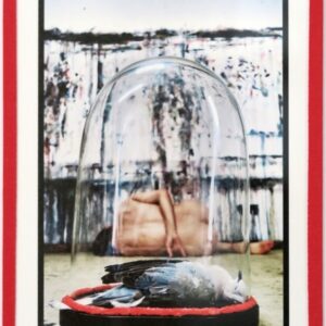 "Tortora", aus "Dome of Desire", Fotografie auf Karton, Klebeband, Glas, 1/3 + 1AP, 23.5cm x 17cm, 2020/21